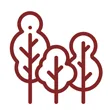Лучший сибирский лес
