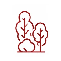 Лучший сибирский лес